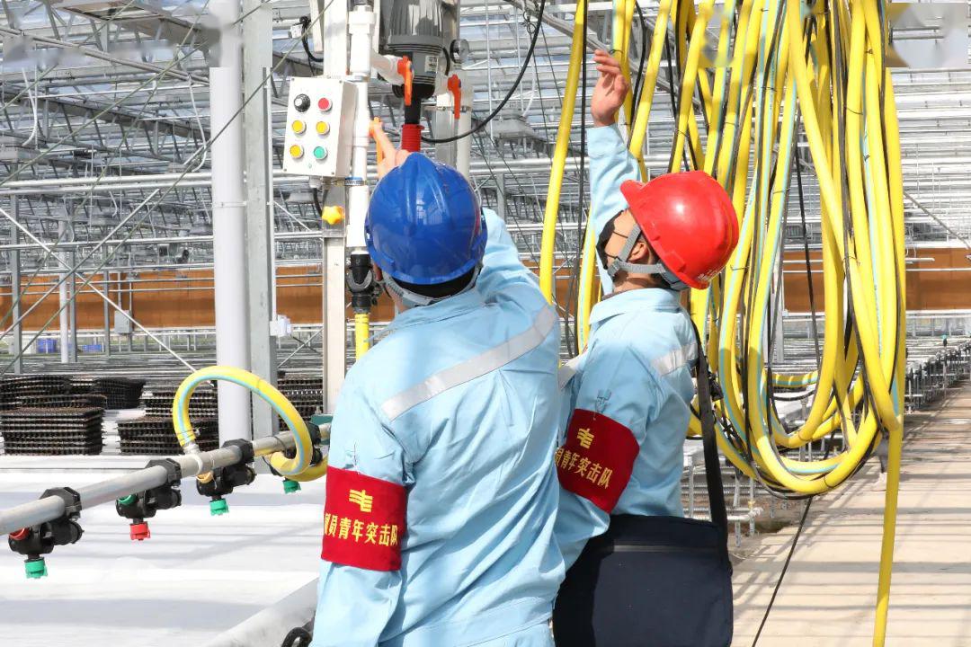 草海機(jī)場(chǎng)最新動(dòng)態(tài)揭秘，建設(shè)進(jìn)展、航班信息及未來(lái)展望