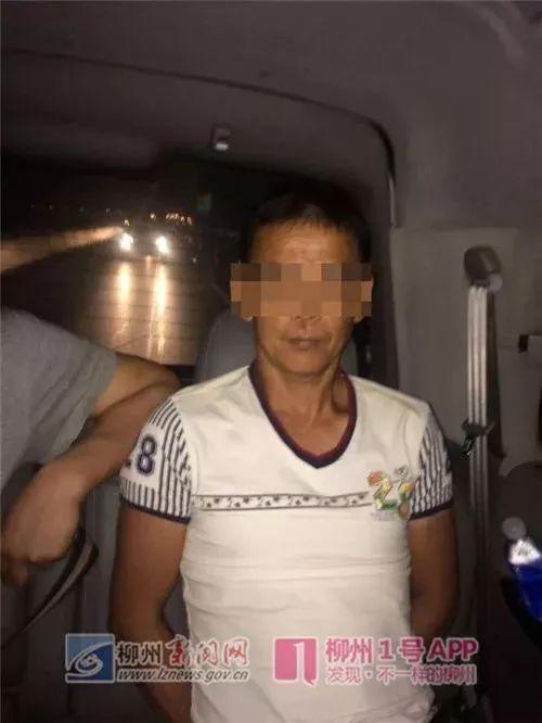 鹿寨最新租房信息，科技智能引領(lǐng)租房新體驗(yàn)