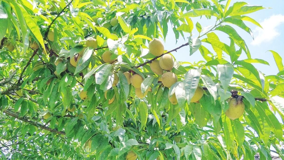 簡暗最新小說揭秘科技新品，智能生活體驗(yàn)新紀(jì)元