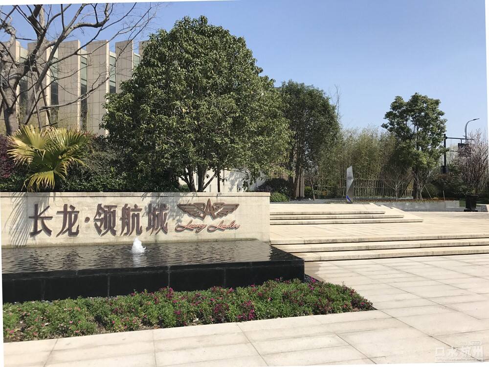 長龍領航最新動態(tài)，駕馭變革，開啟知識海洋的勵志之旅