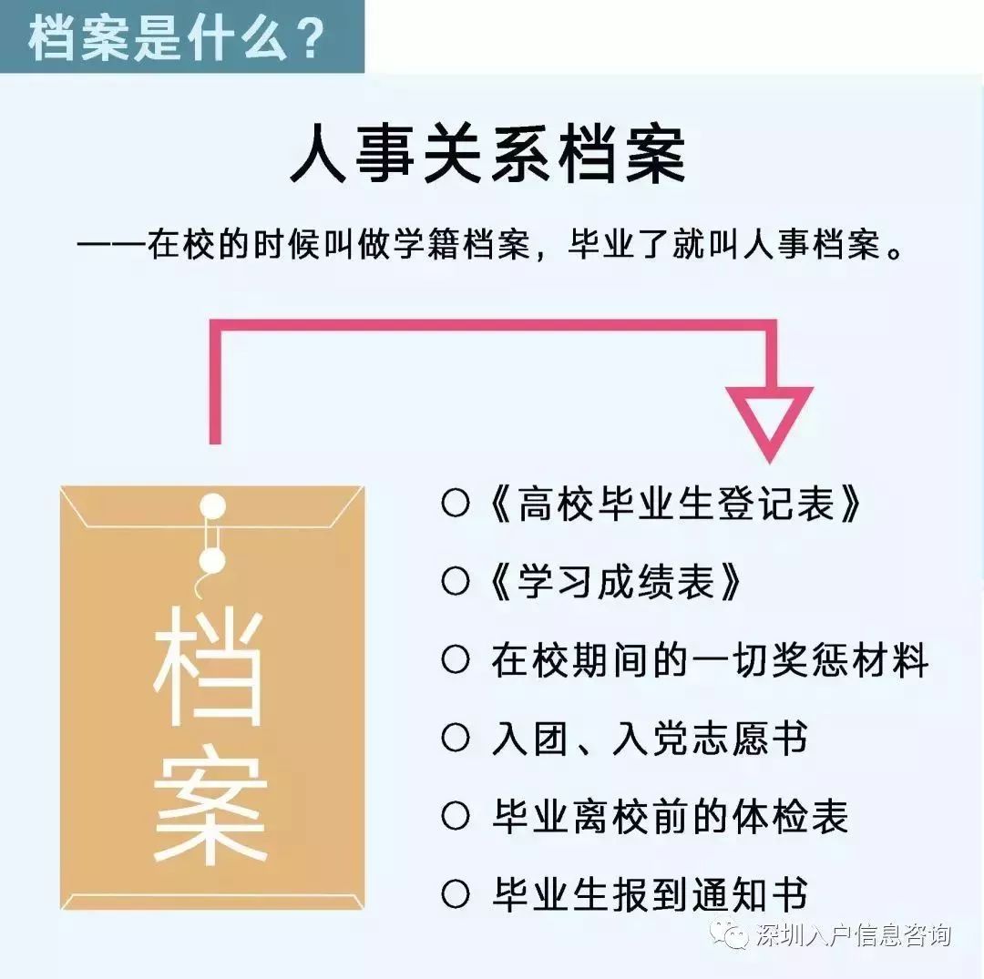 檔案人員補(bǔ)貼最新觀點(diǎn)論述，探討補(bǔ)貼政策與檔案人員發(fā)展的關(guān)系