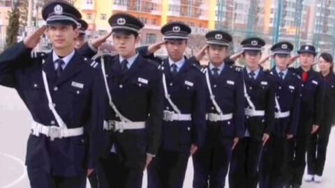 寧國最新保安招聘及其探討，行業(yè)現(xiàn)狀與發(fā)展趨勢分析