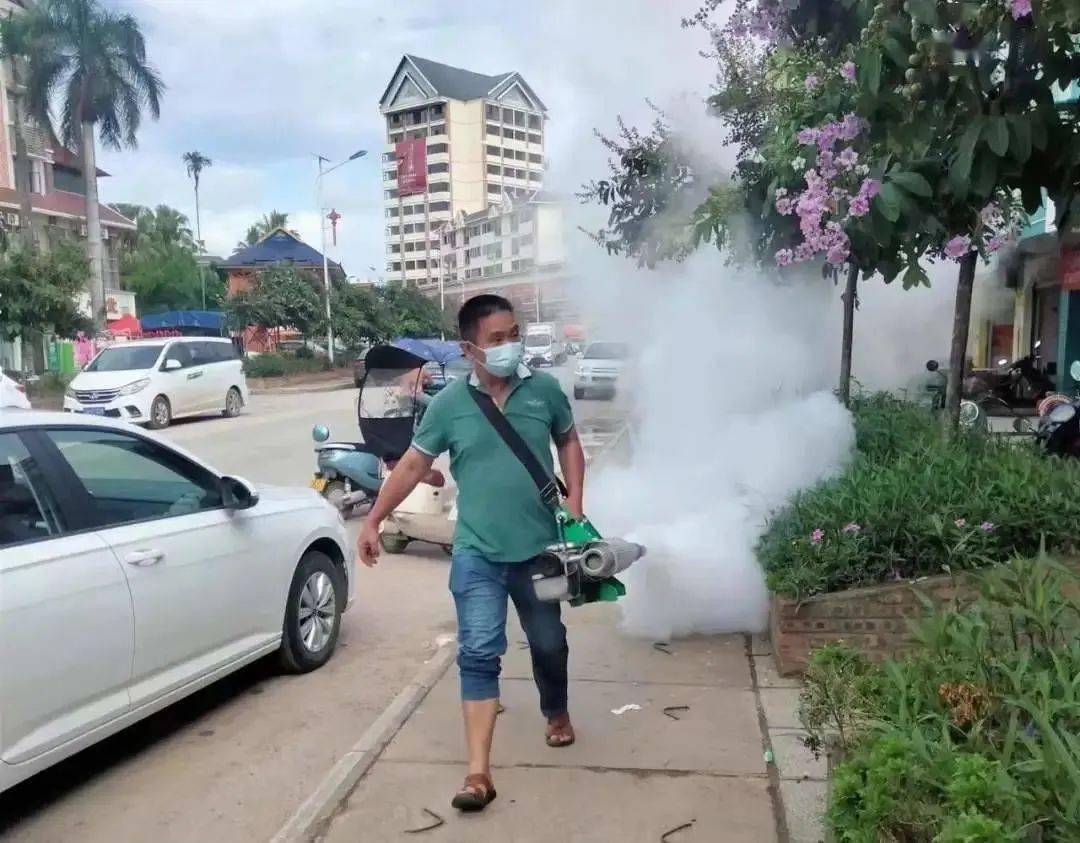 景洪登革熱最新疫情動態(tài)，挑戰(zhàn)與自信之光的博弈