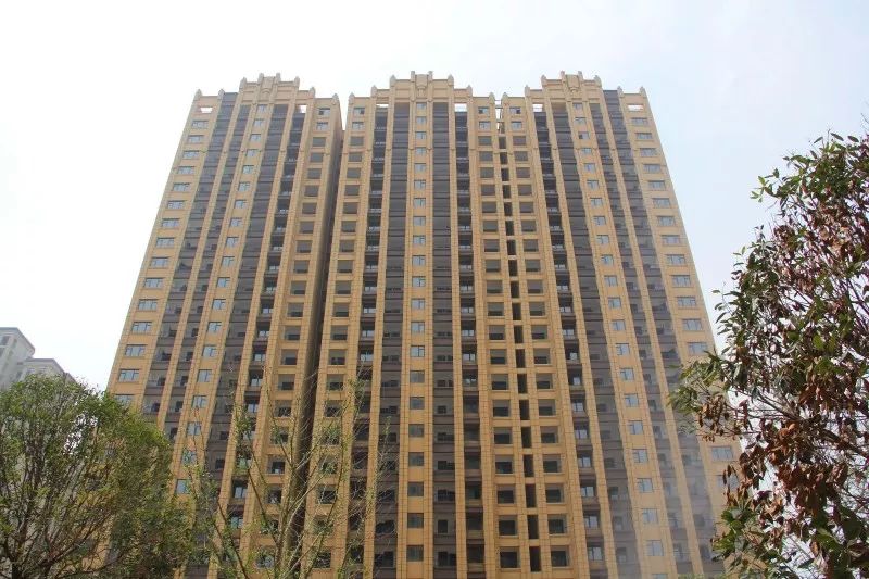 紫荊城邦最新動態(tài)，揭開未來生活新篇章的序幕