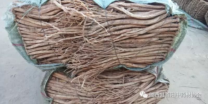 渭源黨參干貨最新價格及獲取指南，了解黨參干貨價格走勢與行情分析