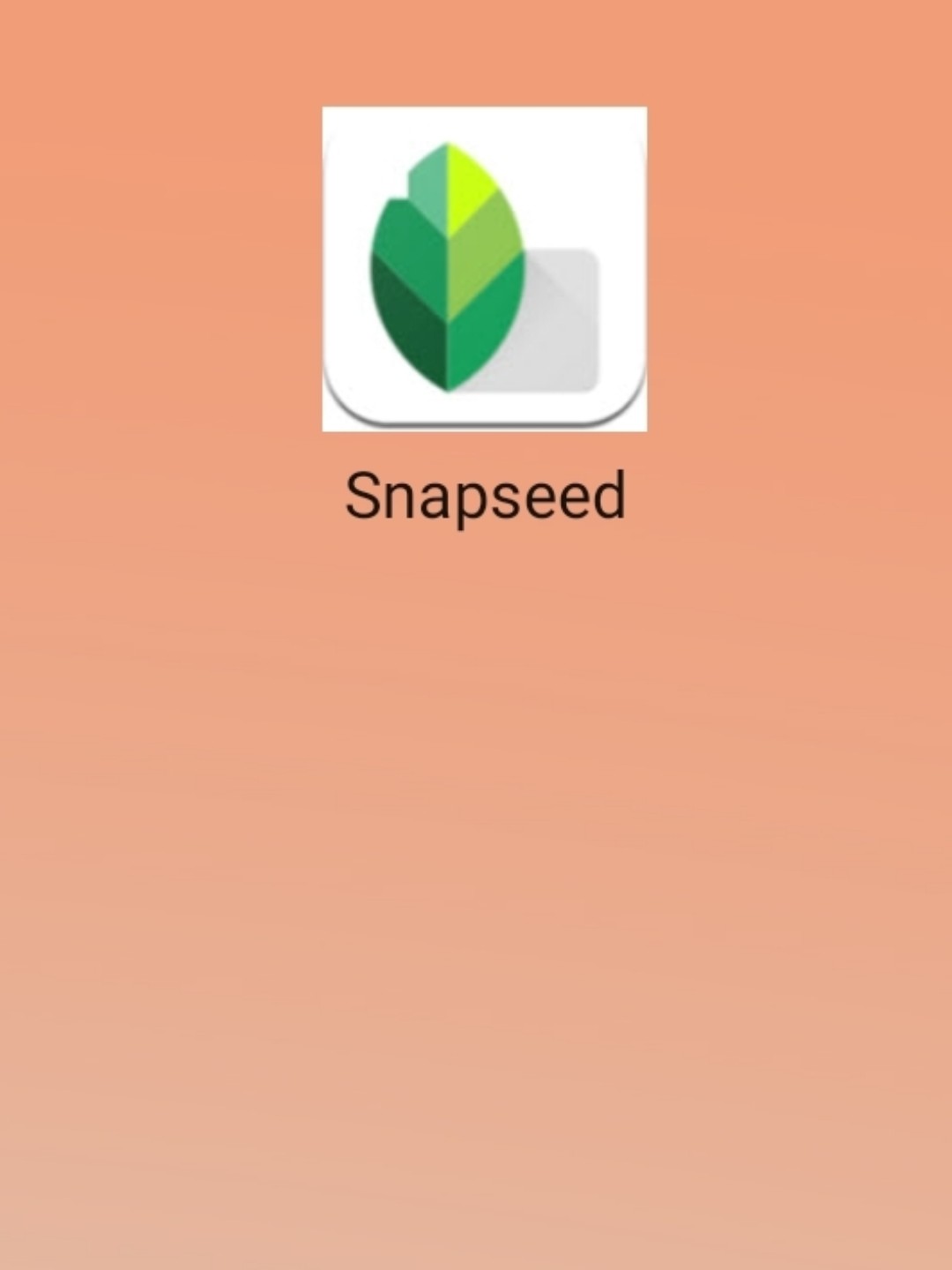 最新snapseed中文版，科技重塑影像，讓生活因攝影更精彩