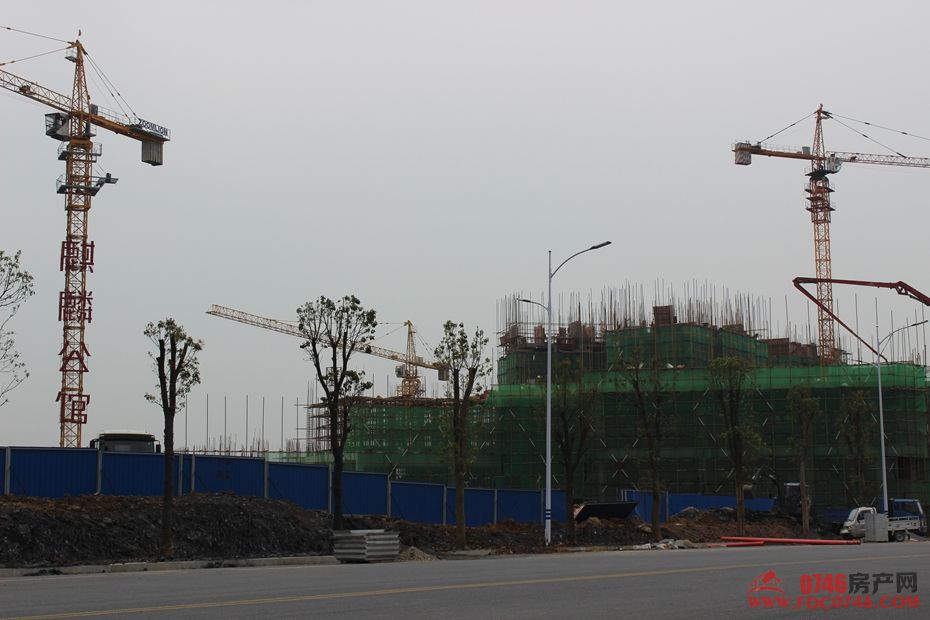 池州麒麟公館最新動態(tài)揭秘，最新進展與資訊更新