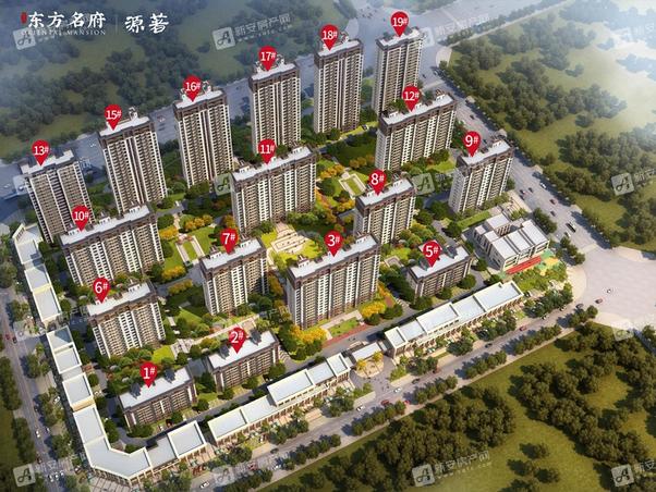 明光東郡最新動(dòng)態(tài)，友情的綻放與家的溫馨日常