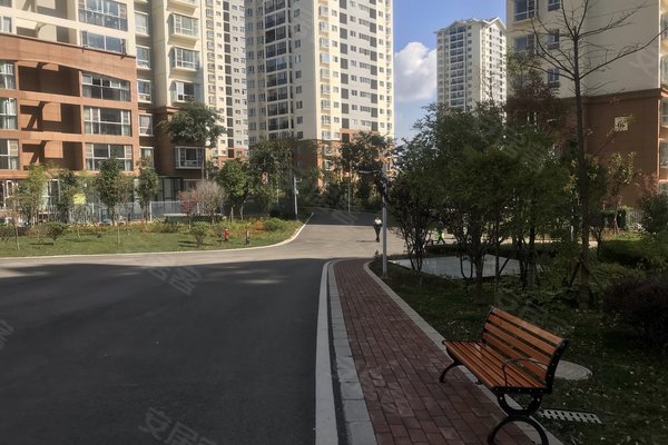 建禮家園最新動態(tài)，小巷中的隱藏瑰寶揭秘