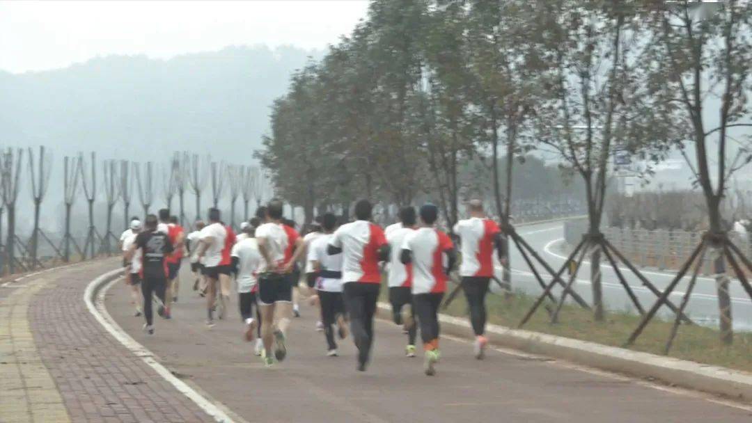 古田環(huán)湖路最新動(dòng)態(tài)揭秘，時(shí)代脈搏與城市發(fā)展的融合之路