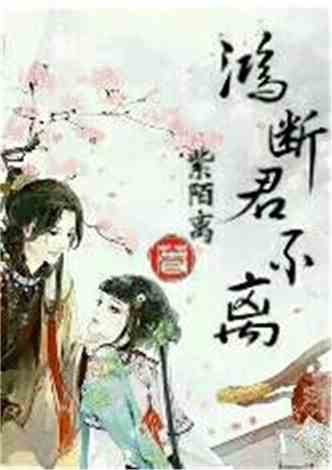 沈南汐最新小說，知識(shí)的力量，成就夢(mèng)想的翅膀之路