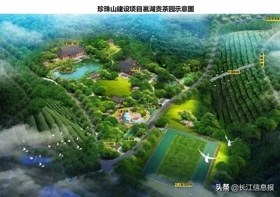 岳陽北港小學(xué)最新動態(tài)揭秘，校園新聞與活動更新