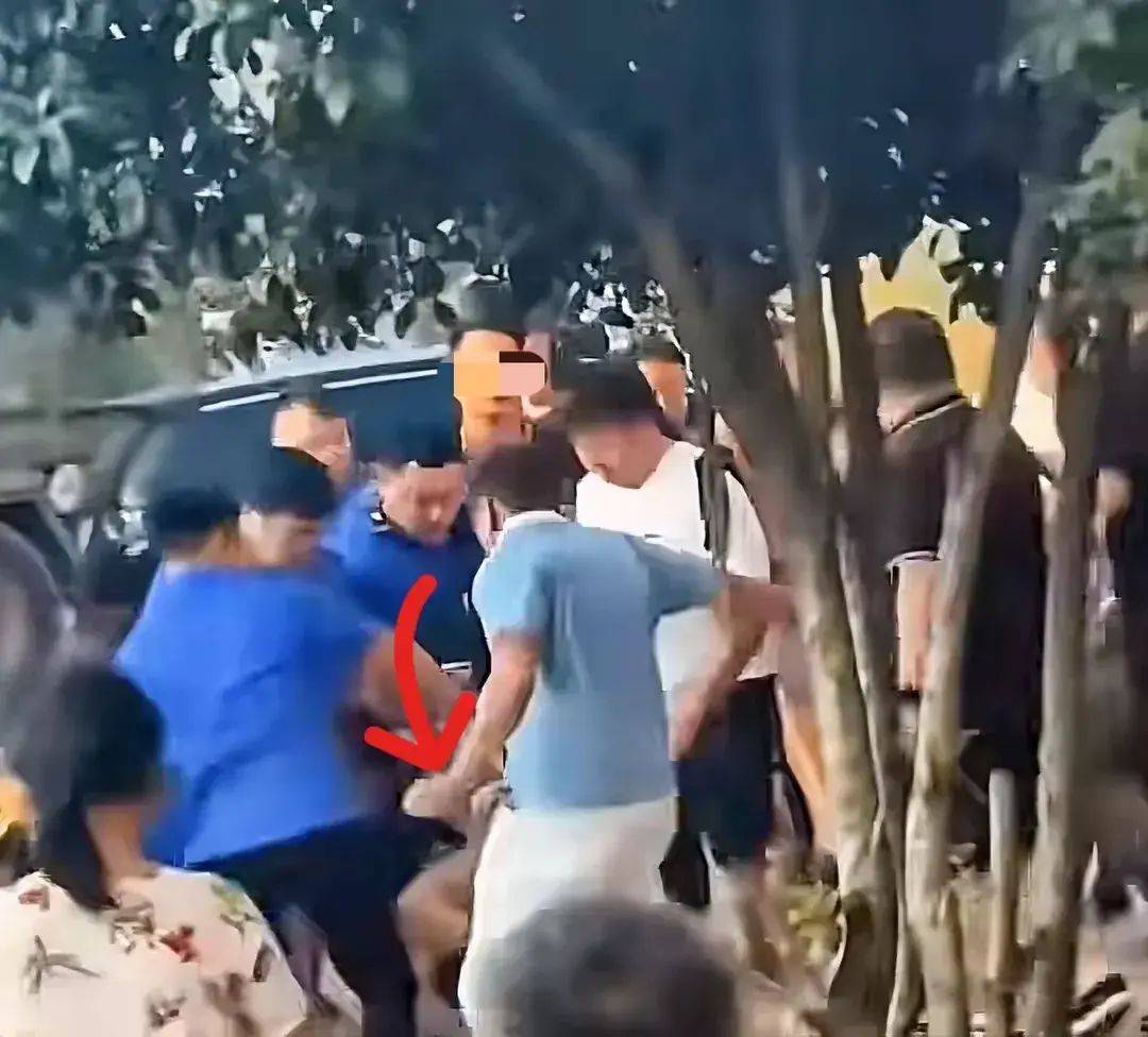 一打假博主團隊遭商戶圍毆,農林經(jīng)濟管理_CNC9.631內容版