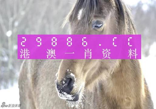 澳門(mén)一肖一碼100%正確答案,穩(wěn)健設(shè)計(jì)策略_私人版38.456