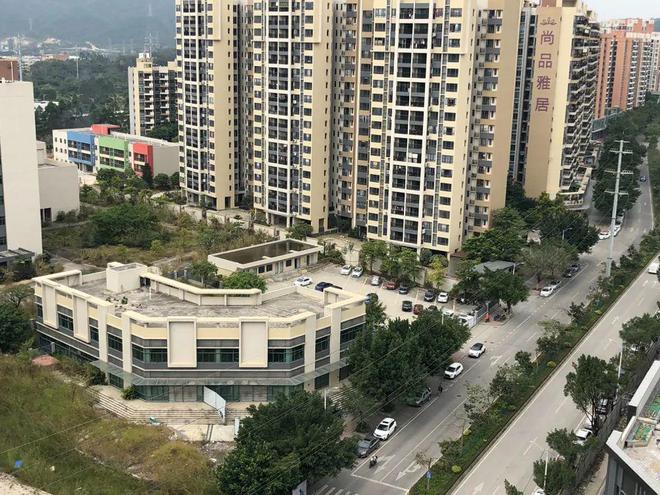 膠南山水雅居最新動(dòng)態(tài)，鄰里日常趣事與情感紐帶分享