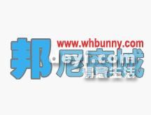 葫蘆島最新營業(yè)員招聘動態(tài)，背景分析與影響探討