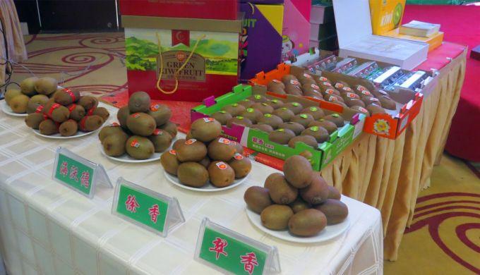 嘉興對(duì)接上海最新進(jìn)展，城市崛起中的自信與成就感展現(xiàn)新面貌