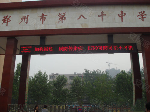 中原區(qū)九龍城最新動(dòng)態(tài)深度解析，最新進(jìn)展與觀點(diǎn)闡述