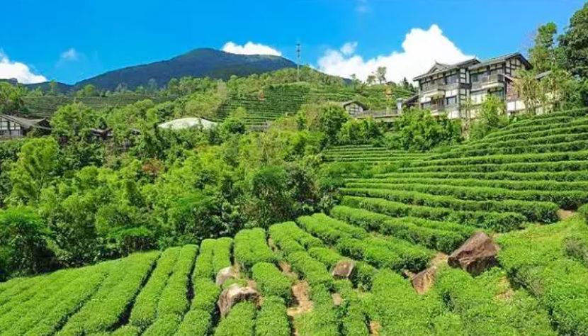 深圳驚喜活動(dòng)溫情之旅，日常中的特別瞬間