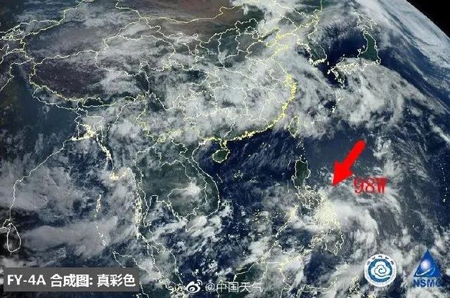 臺(tái)風(fēng)鸚鵡的最新動(dòng)態(tài)，逆風(fēng)翱翔的力量與學(xué)習(xí)魅力
