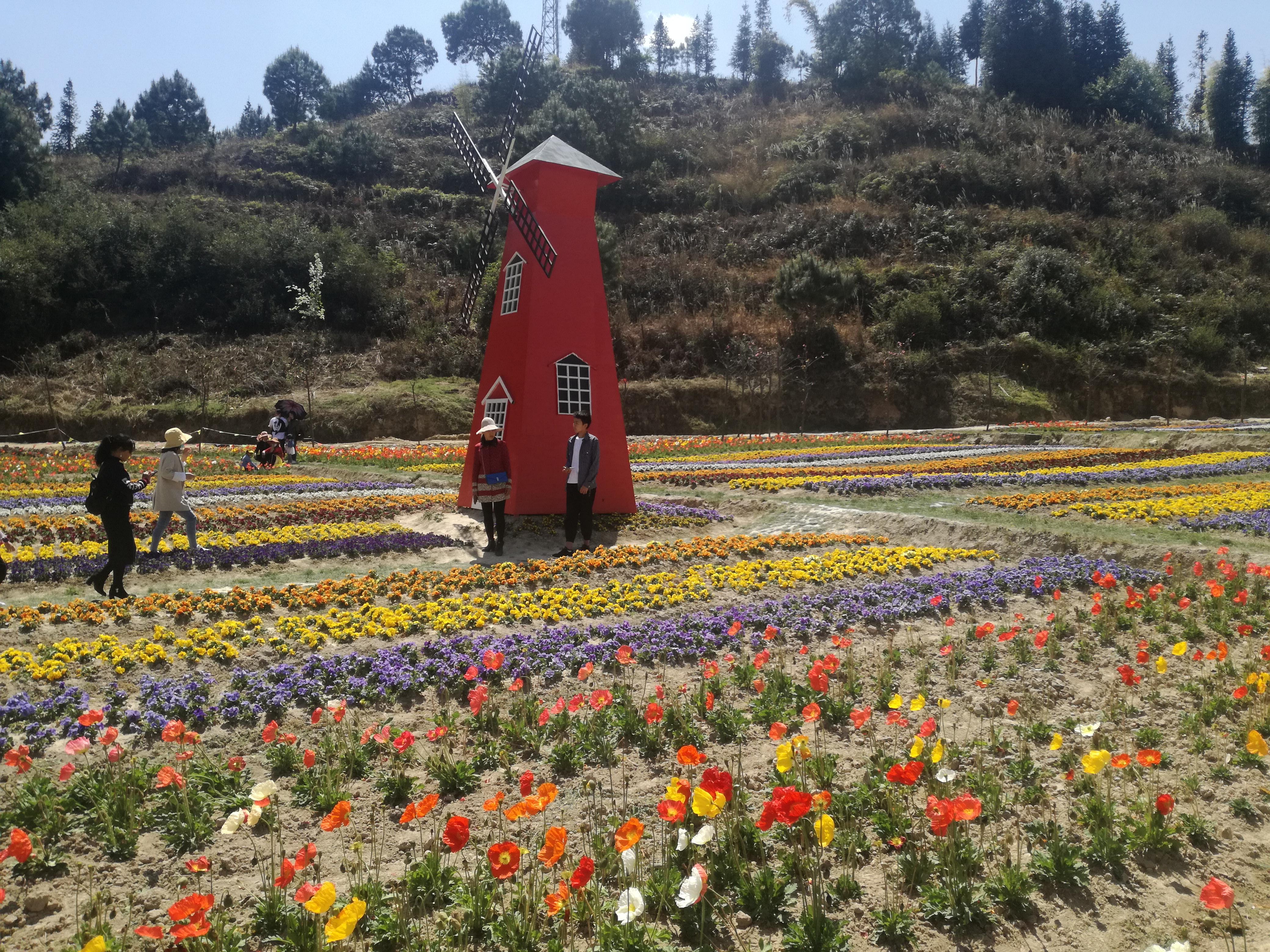 臨滄市最新探索，自然美景之旅，尋找內(nèi)心平和的旅程
