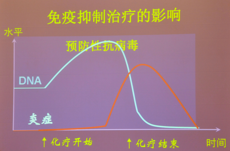 肝炎新進(jìn)展揭秘，小巷深處的秘密小店探索