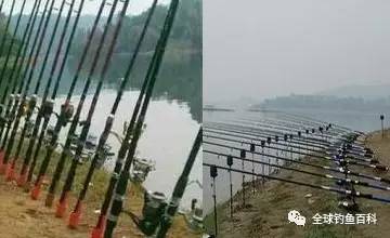 海竿釣魚比賽，技巧、魅力與激情的海洋探秘之旅