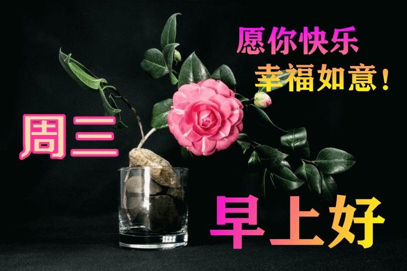 最新早晨問候動態(tài)表情包，溫馨問候，從表情開始！