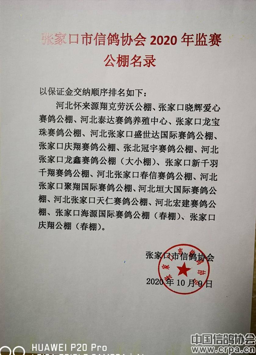 東光信鴿協(xié)會最新通告，小巷深處的獨特風味揭秘與信鴿活動更新通知