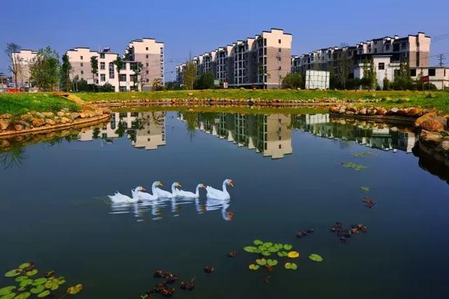 萍鄉(xiāng)安源湖，最新動(dòng)態(tài)揭示湖畔變革與自我超越之旅
