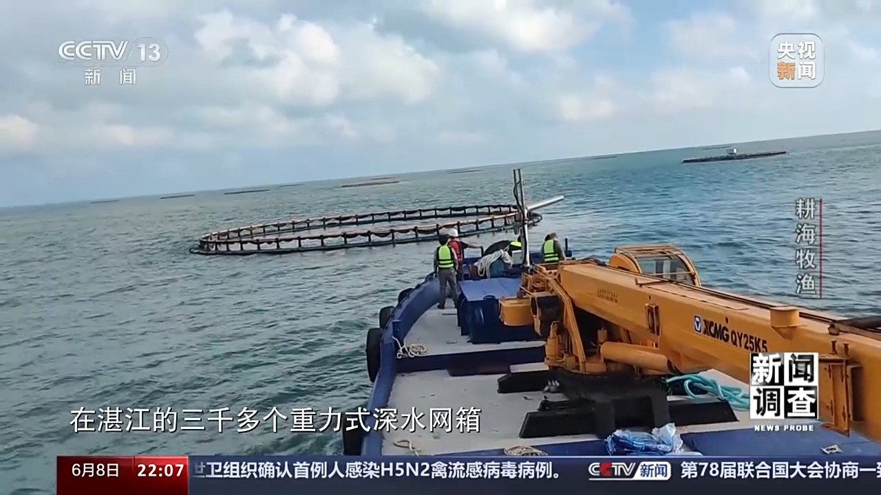 最新海水養(yǎng)殖,最新海水養(yǎng)殖，一種前沿農業(yè)技術的觀點分析