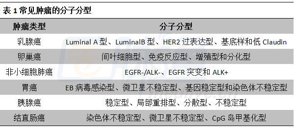 最新乳腺分類科技產(chǎn)品介紹，引領(lǐng)乳腺健康新篇章