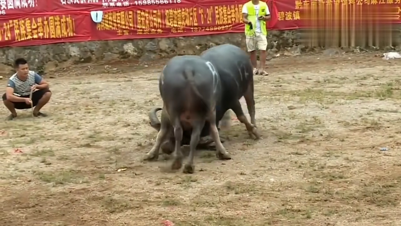 第1079頁