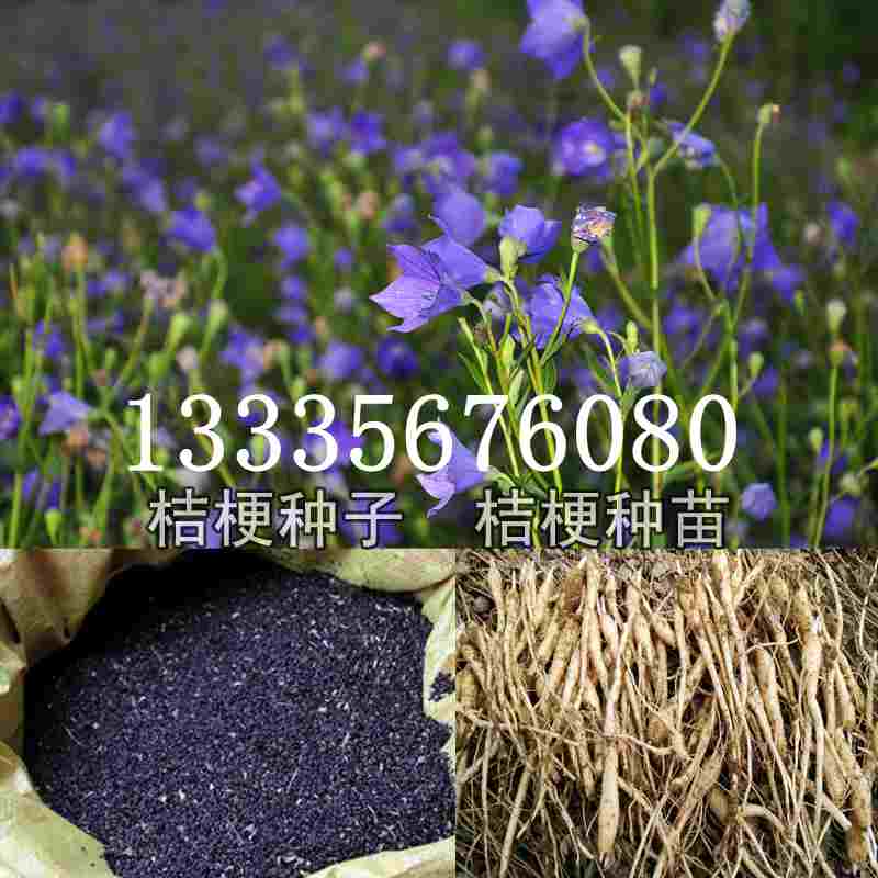 第1059頁