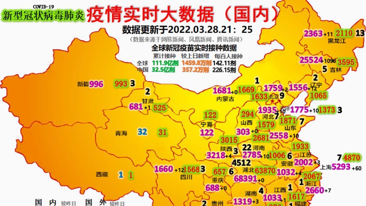 最新疫情動態(tài)詳解，初學者與進階用戶的步驟指南