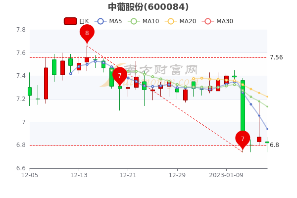 中葡股份股票行情深度分析與展望，未來走勢展望及行業(yè)前景預(yù)測。