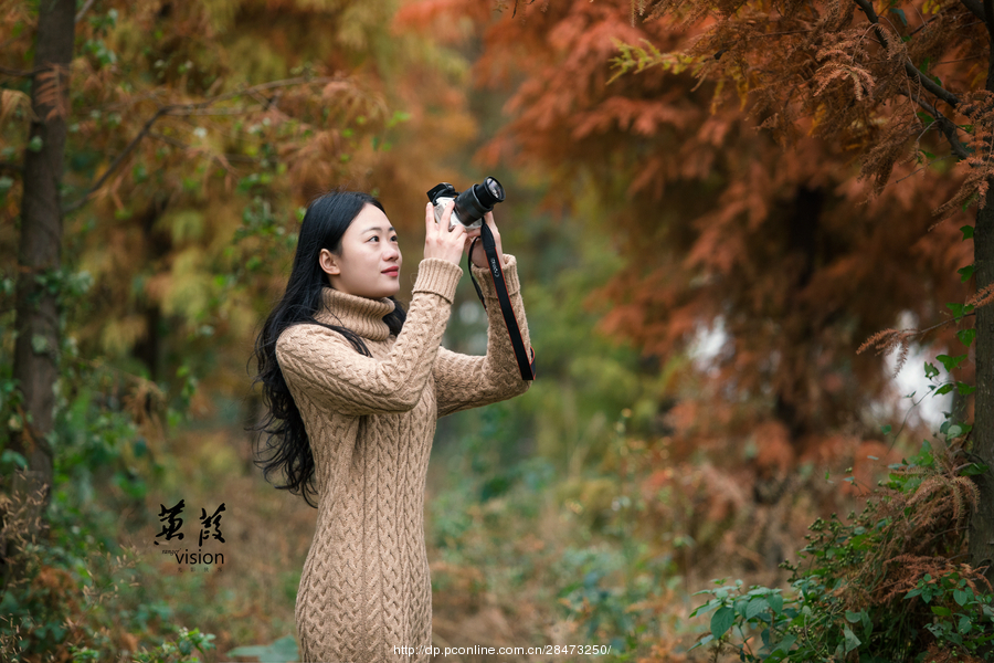 伊人在線電影，探索現(xiàn)代網(wǎng)絡(luò)影視的新境界