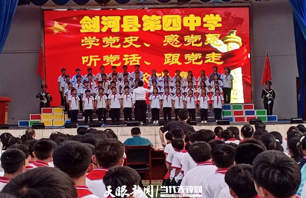 青蛙與狗的泳池挑戰(zhàn)，揭秘游泳比賽背后的故事，青蛙夢工廠的秘密探索