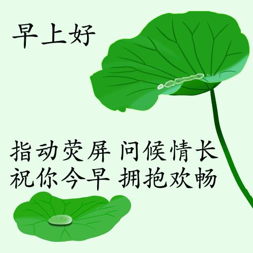 最新疫情動態(tài)下的自然探索之旅，追尋內(nèi)心的平和與寧靜