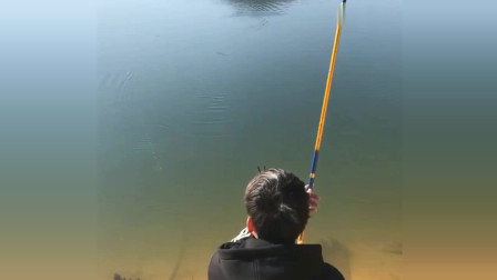 楊柏文最新垂釣視頻，從初學(xué)者到進(jìn)階用戶的技能提升指南