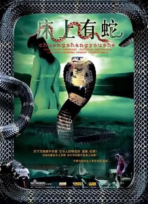 最新蛇片，蛻變的旅程，召喚自信與成就感的冒險之旅