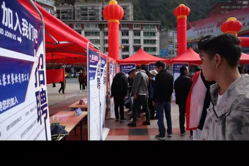 青白江招聘信息探索，小巷中的職業(yè)機遇