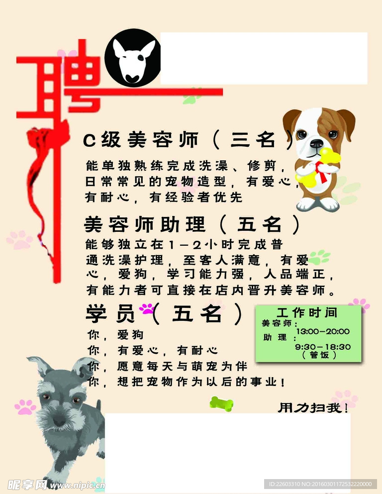 寵物店招聘最新動(dòng)態(tài)，共探自然之美，尋求內(nèi)心寧靜