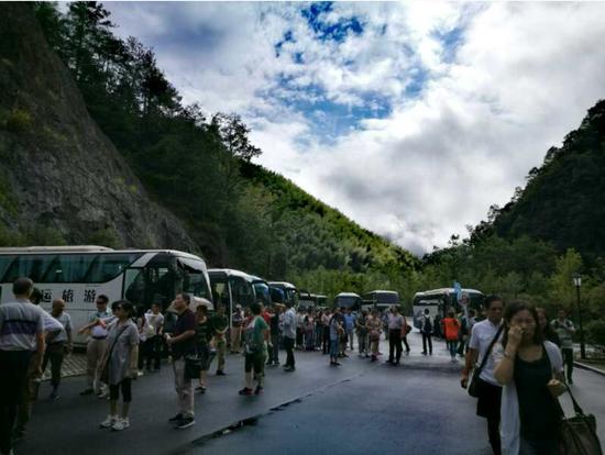 泰順高鐵最新動態(tài)更新，最新消息一覽