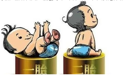 最新雙胞胎補助政策，攜手同行，助力孕育夢想之路
