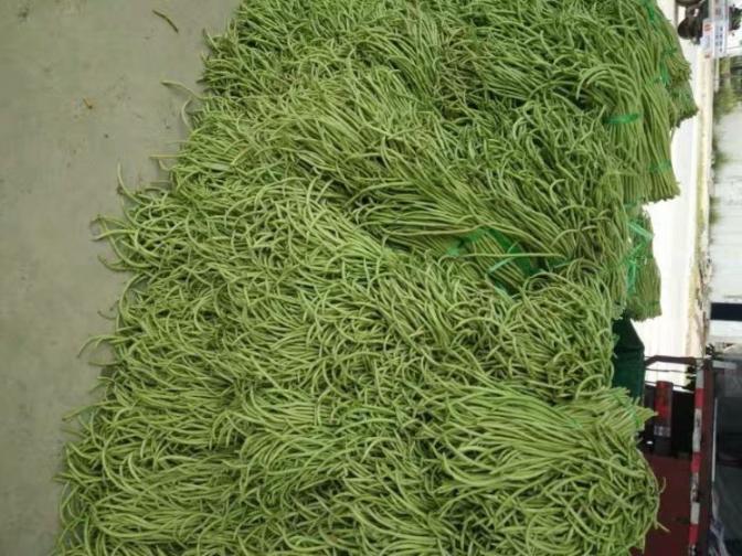 合浦豆角最新價(jià)格指南，獲取與比較豆角價(jià)格的方法及最新價(jià)格更新通知