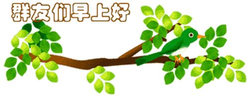 最新清晨祝福短信，晨曦中的溫暖問候，傳遞美好祝愿與關(guān)懷