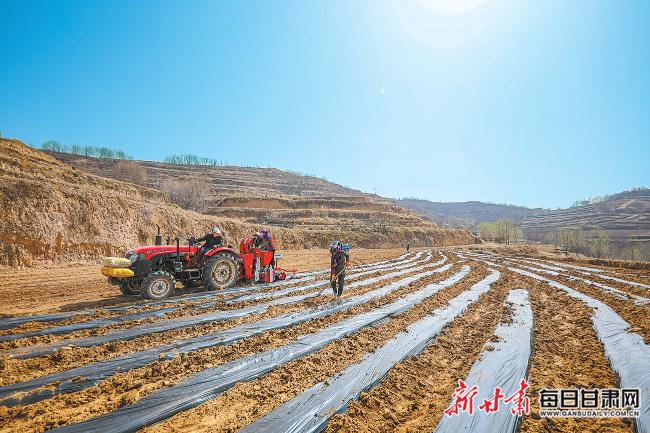 秦安最新新聞，城市溫情日常溫馨小事報(bào)道