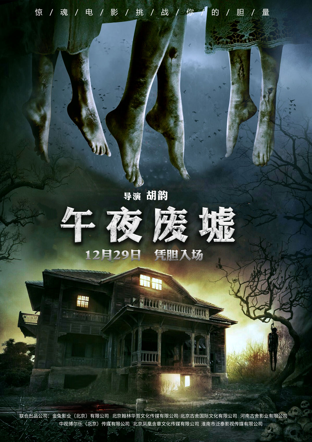 午夜熱門(mén)電影探索，魅力時(shí)刻的探險(xiǎn)之旅