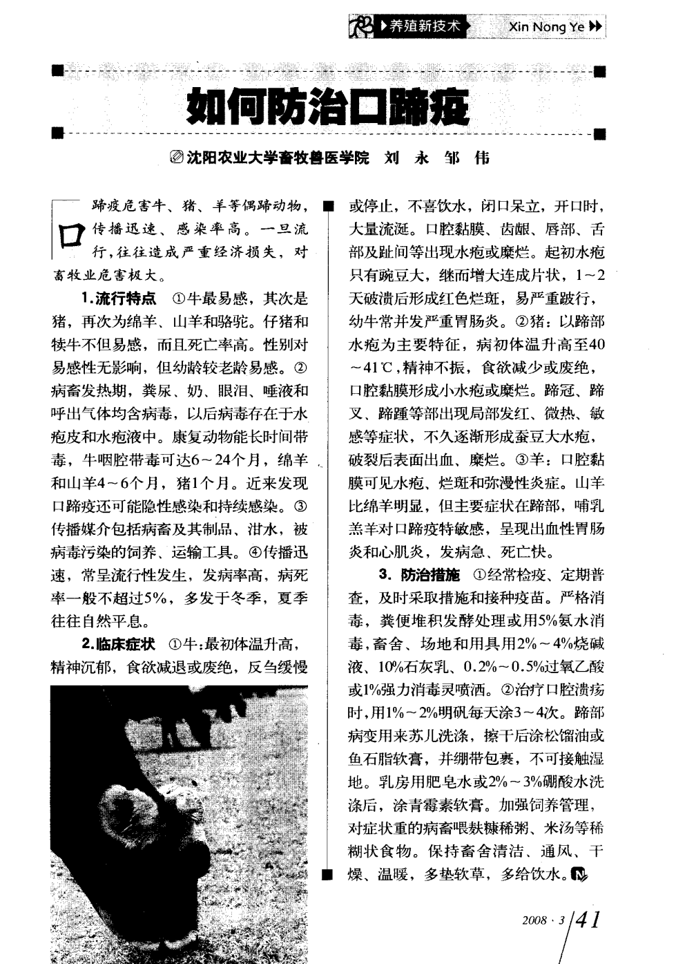口蹄疫最新科研，自然探險(xiǎn)與內(nèi)心平和的追尋之旅